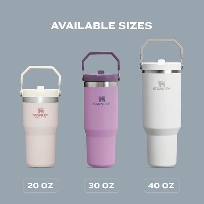 Stanley IceFlow Flip Straw Tumbler with Handle 20 oz | Twist On Lid and Flip Up Straw | Leak Resistant Water Bottle | Insulated Stainless Steel |BPA-Free | Plum