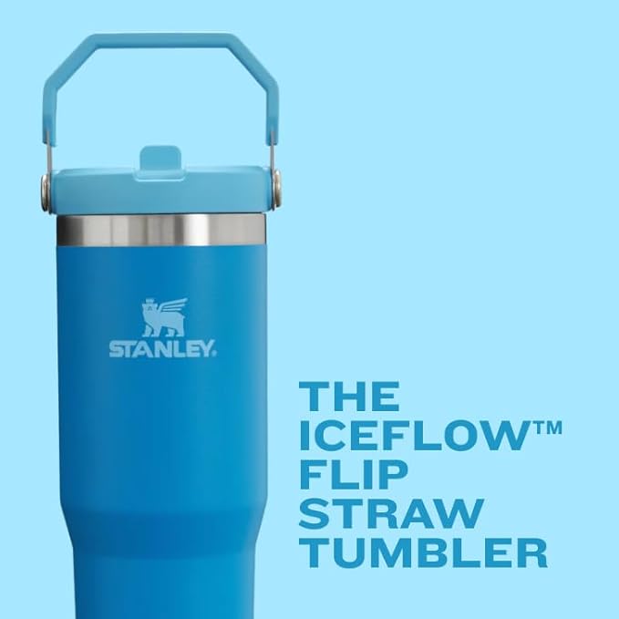 STANLEY IceFlow 2.0 Flip Straw Tumbler with Handle 20 oz | Twist On Lid and Flip Up Straw | Leak Resistant Water Bottle | Insulated Stainless Steel | BPA-Free | Twilight