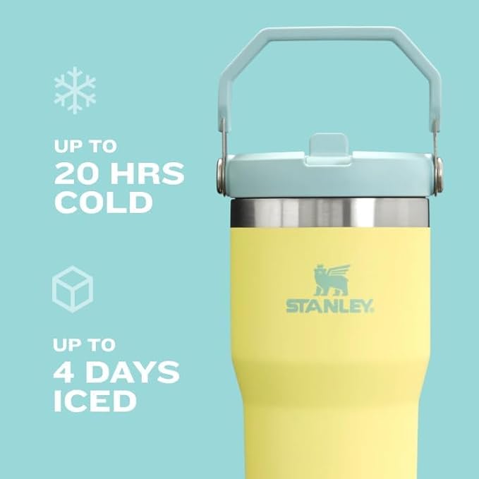 STANLEY IceFlow 2.0 Flip Straw Tumbler with Handle 30 oz | Twist On Lid and Flip Up Straw | Leak Resistant Water Bottle | Insulated Stainless Steel | BPA-Free | Violet Blossom