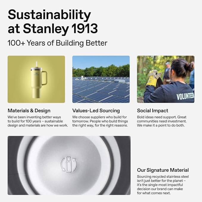 STANLEY Quencher H2.0 Tumbler with Handle and Straw 20 oz | Flowstate 3-Position Lid | Cup Holder Compatible for Travel | Insulated Stainless Steel Cup | BPA-Free | Spring Green