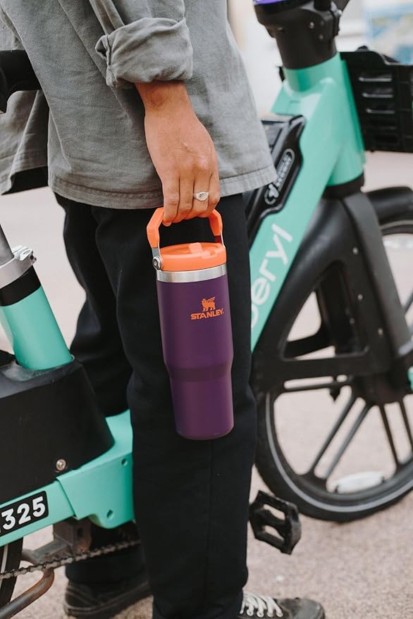 STANLEY IceFlow 2.0 Flip Straw Tumbler with Handle 14 oz | Twist On Lid and Flip Up Straw | Leakproof Water Bottle | Insulated Stainless Steel | BPA-Free | Dark Blossom