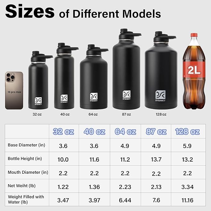 DYSANKY 32 oz Insulated Water Bottle | Thickened Stainless Steel Vacuum Metal | Portable Sports Water Jug for Gym and Hiking with Straw, Carrier Bag, Handle Strap | BPA-Free 32 oz