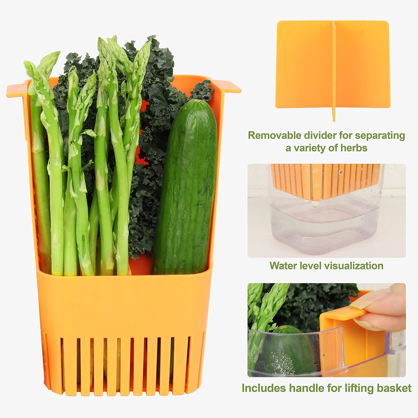 Herb Keeper Set: 3 Pack Herb Saver+1 Pack Herb Scissors+2 Pack Herb Stripper, BPA-Free Plastic Herb Container for Cilantro, Mint & Asparagus, Keeps Fresh Herbs for 3 Times Longer